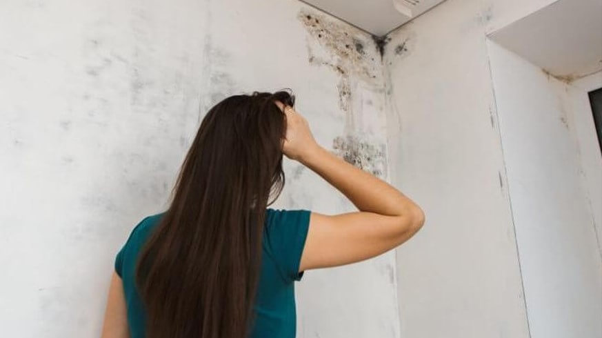 Como quitar la humedad de la pared